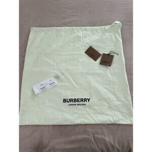 Authentic Burberry London England Dust Bag Pale Mint Green 22.5x22.5 Drawstring